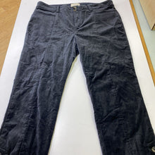 Load image into Gallery viewer, Anthropologie velour pants 10
