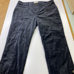 Anthropologie velour pants 10