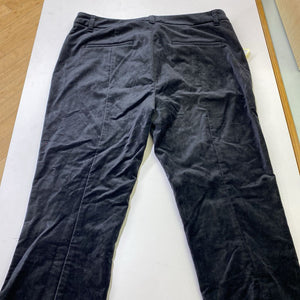 Anthropologie velour pants 10