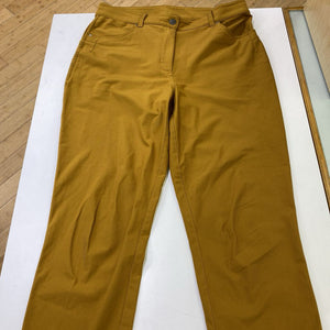 Lululemon pants 10