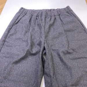Eileen Fisher pull on pants XS
