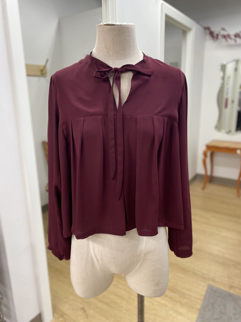 Birds of North America pleated flowy top M