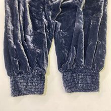 Load image into Gallery viewer, Anthropologie velvet joggers S

