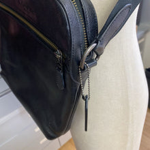 Load image into Gallery viewer, Fossil crossbody bag
