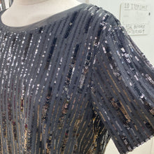Load image into Gallery viewer, Sanctuary sequin top NWT XL
