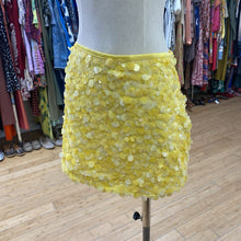 Load image into Gallery viewer, Zara pailettes skirt L NWT

