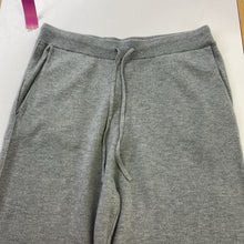Load image into Gallery viewer, Hudson North sweatpants L NWT
