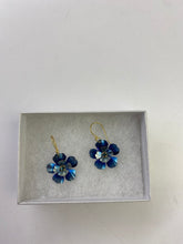 Load image into Gallery viewer, Holly Yashi Blissful Bloom earrings NIB
