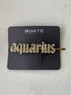 Brunette hair pin (Aquarius) NWT