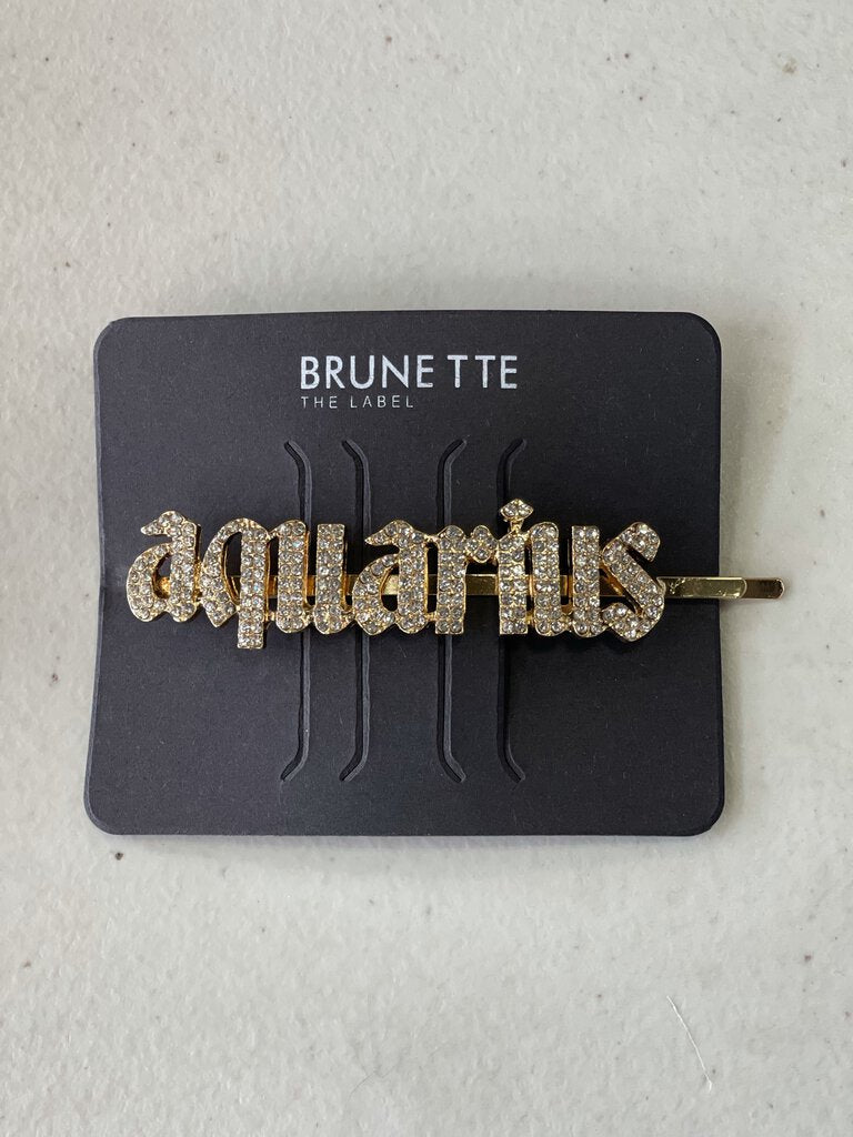 Brunette hair pin (Aquarius) NWT