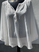 Load image into Gallery viewer, Banana Republic (outlet) Top Long Sleeve Sheer NWT L(Petite)
