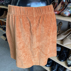 Z Supply Corduroy Skirt NWT S