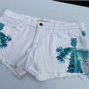 Joe's Palm Beach denim shorts NWT 31