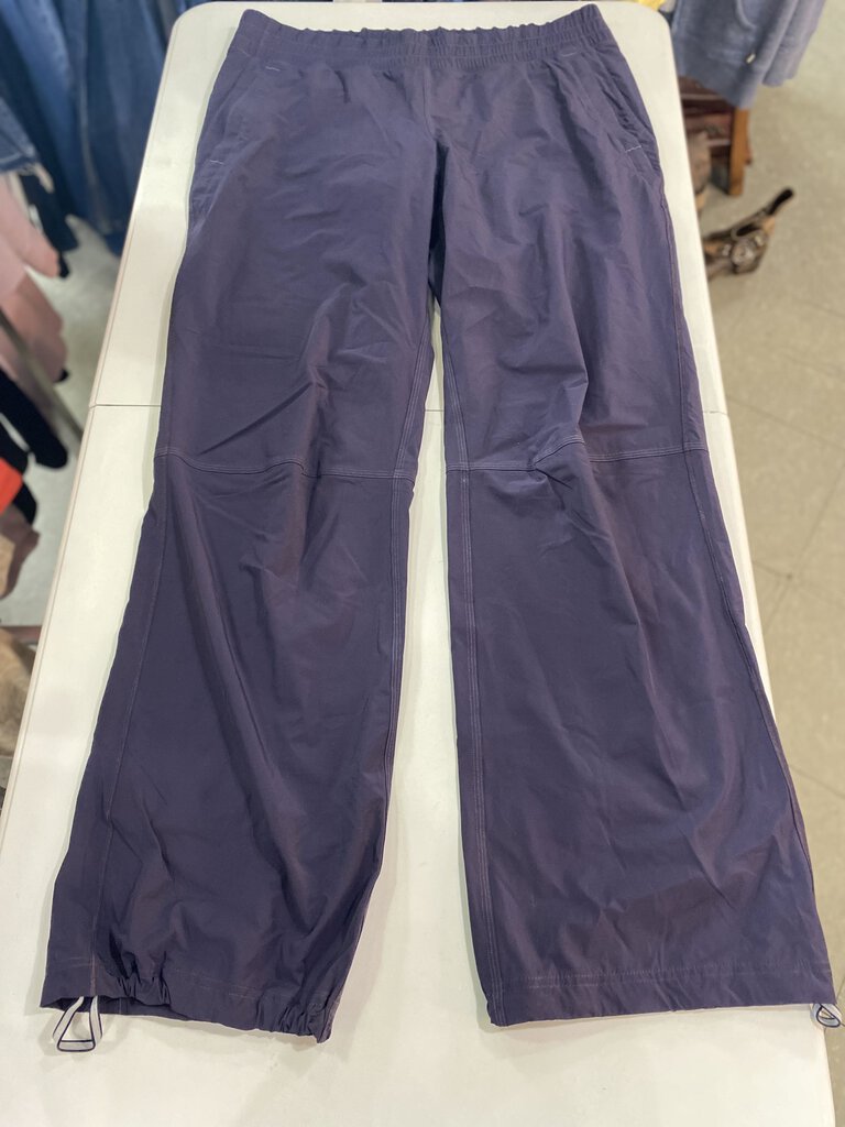 Lululemon lined pants 12