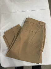 Load image into Gallery viewer, Design Lab pleated pants 1X
