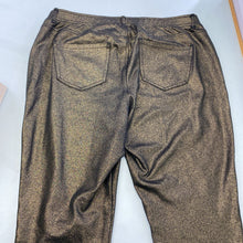 Load image into Gallery viewer, Lane Bryant shimmery pants 18

